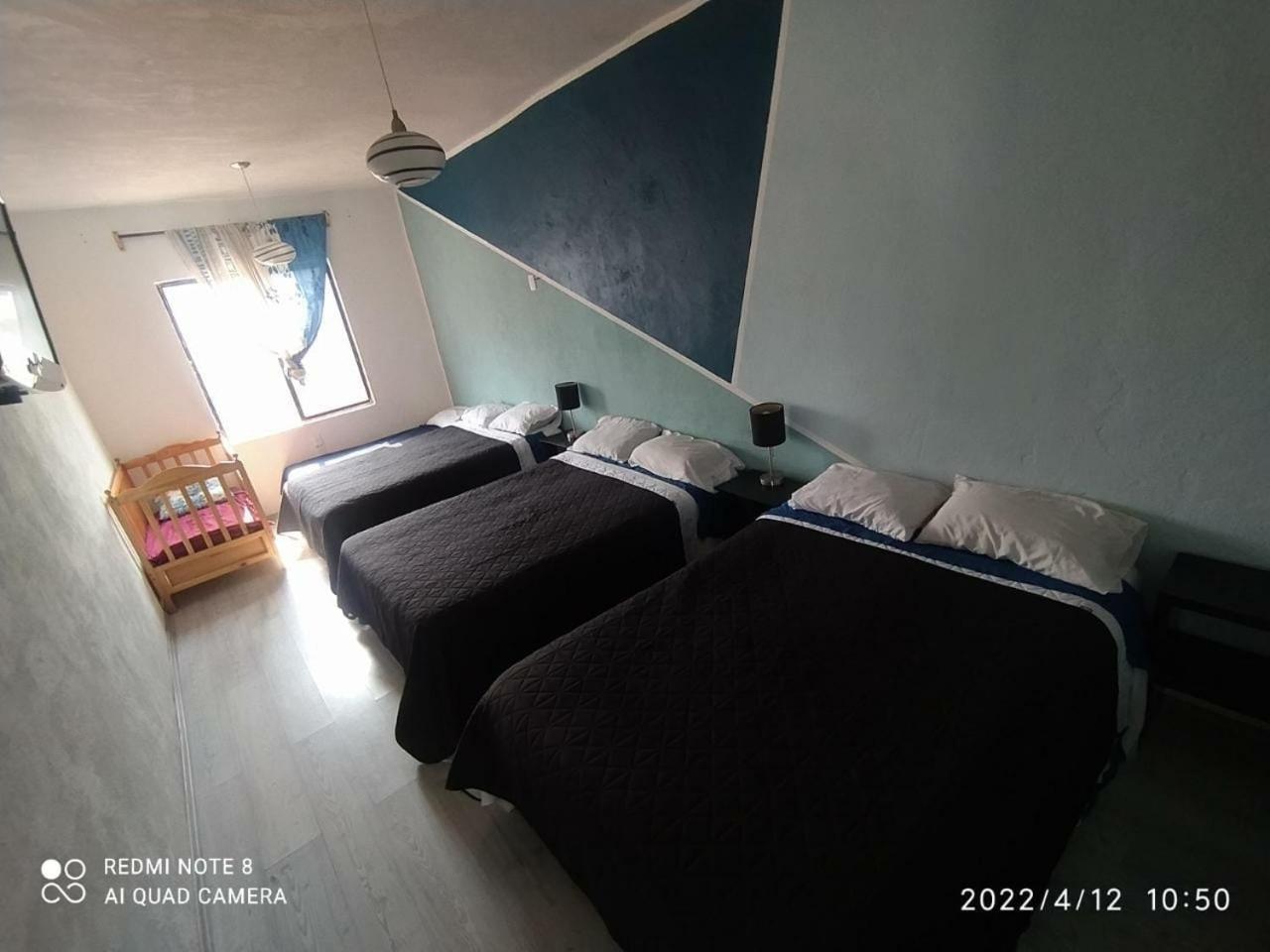 Hotel Vithez تامبيكو المظهر الخارجي الصورة